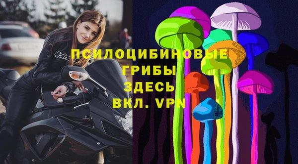 альфа пвп Алзамай