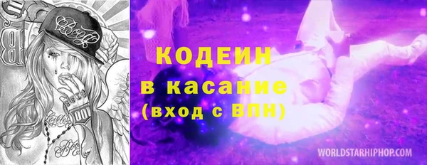 индика Зуевка