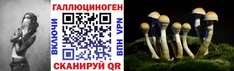 купить наркоту  Кимры  нарко площадка состав  Галлюциногенные грибы мицелий 