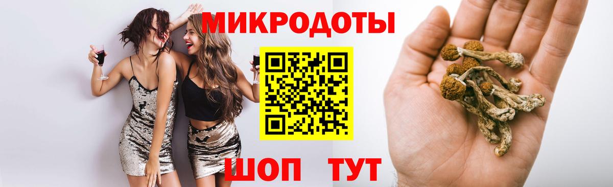 Кимры  Галлюциногенные грибы Psilocybine cubensis  Вход с VPN  Галлюциногенные грибы мицелий 